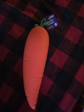 Toymendous Squeezy carrot squishy